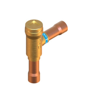 Check valve